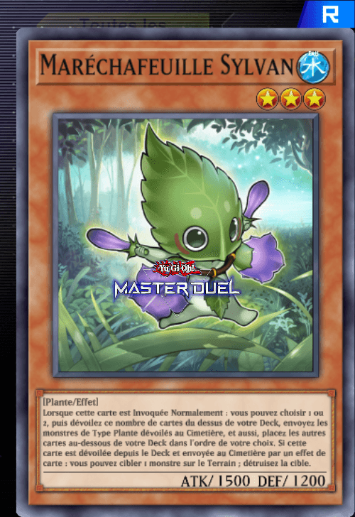 card image