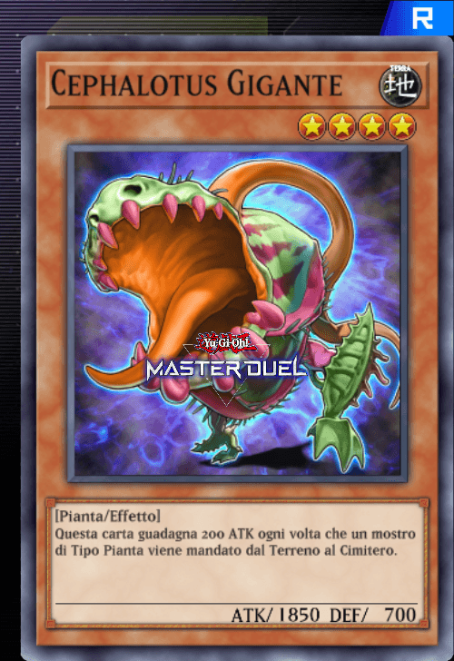 card image